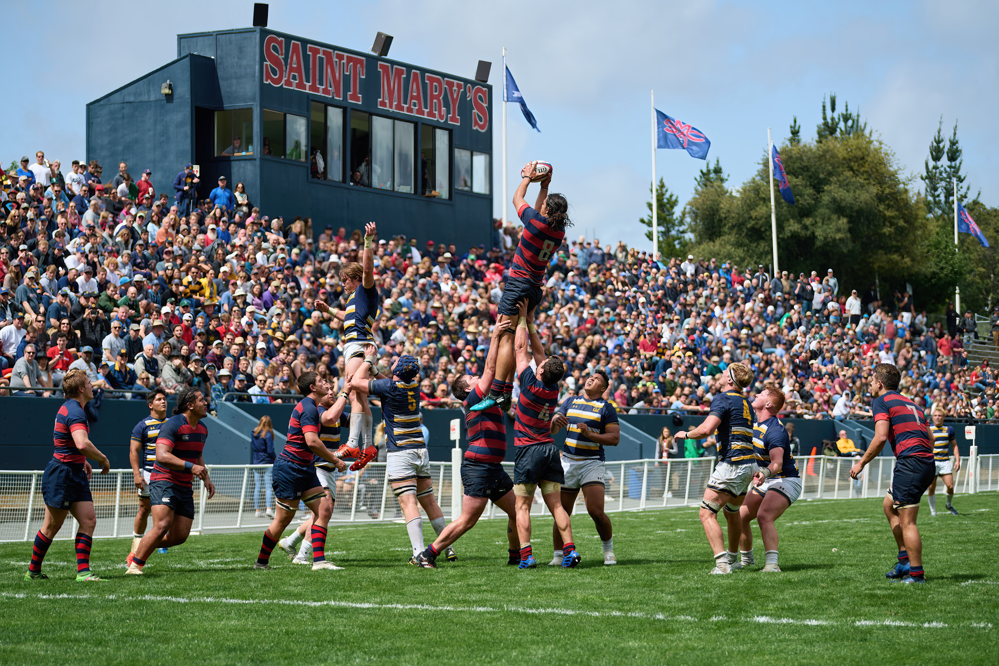 Men's Rugby Saint Mary's College